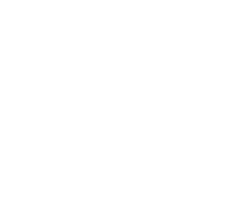 sun blinds